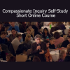 Dr. Gabor Maté teaching the Compassionate Inquiry Self-Study Short Online Course for trauma healing and self-awareness