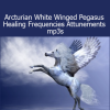 Gene Ang transmitting Arcturian White Winged Pegasus Healing Frequencies through mp3 attunements