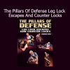 Gordon Ryan showing leg lock defenses and counter submissions in Pillars of Defense instructional