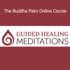Holden QiGong Guided Healing Meditations Bundle course download