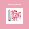 Holosync Flowering Level 4 audio program for deep meditation, emotional healing, and mental clarity