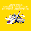 Joseph Riggio Getting Unstuck and Breaking Through webinar early-bird course for personal breakthrough
