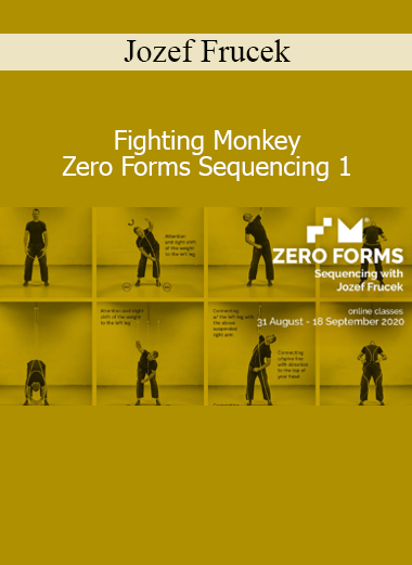 Download Zero Forms Sequencing 1 course by Jozef Frucek – Fighting Monkey