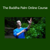 Lee Holden The Buddha Palm Online Course download