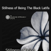 Lightness of Being Stillness of Being The Black Latifa course download