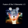 Mantak Chia teaching Taoist internal alchemy in Fusion of the 5 Elements levels 1 to 3