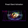 Mas Sajady guiding a Pineal Gland Activation session for expanded consciousness and intuitive awakening