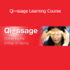 Master Chunyi Lin Qi~ssage Learning Course energy healing cover image