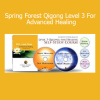 Master Chunyi Lin demonstrating advanced Spring Forest Qigong Level 3 techniques for deep energy healing