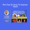 Download Wu's Eye Qi Gong To Improve Vision course by Master Teresa – Eye health energy practice
