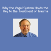 NICABM expert panel discussing the role of the vagal system in trauma recovery and nervous system regulation