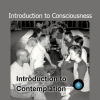 Download Introduction to Consciousness Course by Peter Ralston