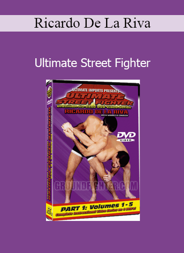 Download Ultimate Street Fighter course by Ricardo De La Riva