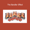Richard Bandler delivering The Bandler Effect training on NLP techniques and rapid personal change