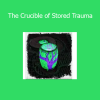 Sapien Medicine audio designed to transmute and release deeply stored emotional and physical trauma from the energy body