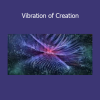 Sapien Medicine energy audio designed to align you with the primordial vibration of creation and manifestation
