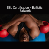 Download Sport Science Lab SSL Certification – Ballistic Ballwork course