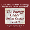 Sue Morter Energy Codes Level II online course September 7 for advanced energy healing and embodiment