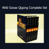 Wild Goose Qigong Complete Set demonstrating flowing energy movements for health, vitality, and internal balance