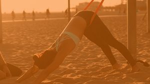 Aaron Alexander - Align Method 6-Week Program