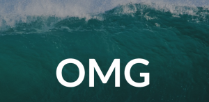 Amir Zoghi - The OMG Program