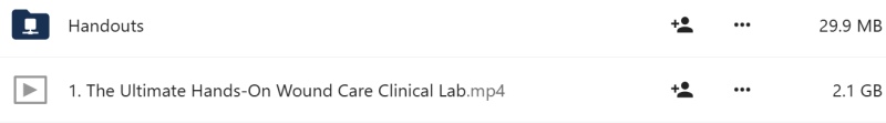 Ann Kahl Taylor - The Ultimate Hands-On Wound Care Clinical Lab