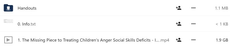 Bryan Anderson - The Missing Piece to Treating Children's Anger Social Skills Deficits