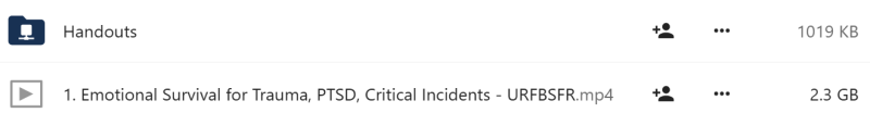 Carrie Steiner - Trauma-Informed Care Before, During, & After Critical Incidents