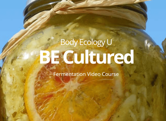 Catalina Martone - BE Cultured Fermentation Course