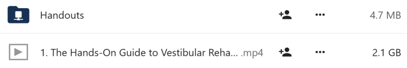 Colleen Sleik - The Hands-On Guide to Vestibular Rehabilitation
