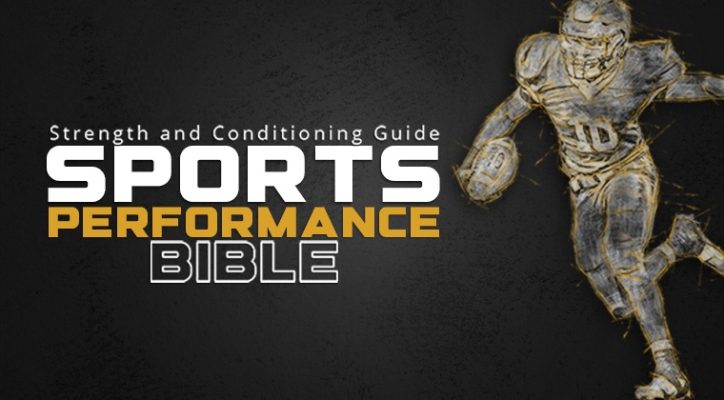 Dan Miller - Sports Performance Bible Course