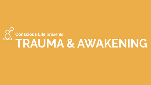 Dr Gabor Maté & Hameed Ali (A H Almaas) - Trauma + Awakening