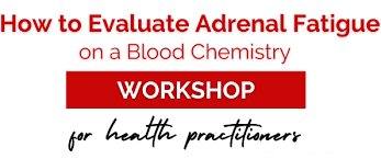 Dr. Bryan Walsh - How To Evaluate Adrenal Fatigue on a Blood Chemistry Workshop