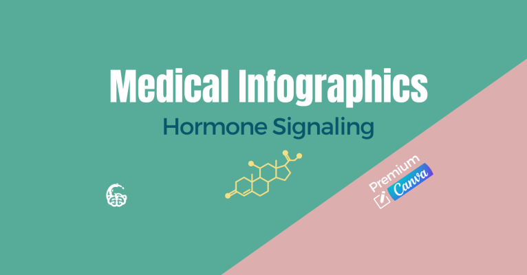 Dr. Lara Salyer - Hormone Signaling Medical Infographics - Premium