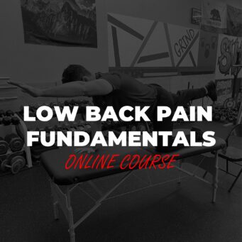 Dr. Michael Mash - Low Back Pain Fundamentals