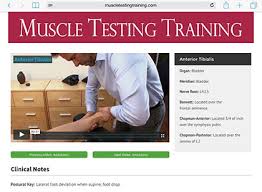 Dr. Michael McCall - Muscle Testing Training Videos 100 Hour Course