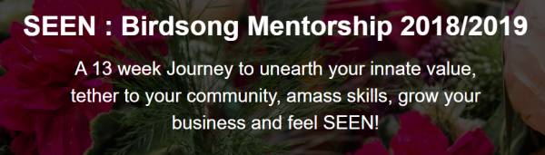 Erica + Laura - SEEN : Birdsong Mentorship 2018/2019