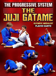 Flavio Canto - The Progressive System The Juji Gatame