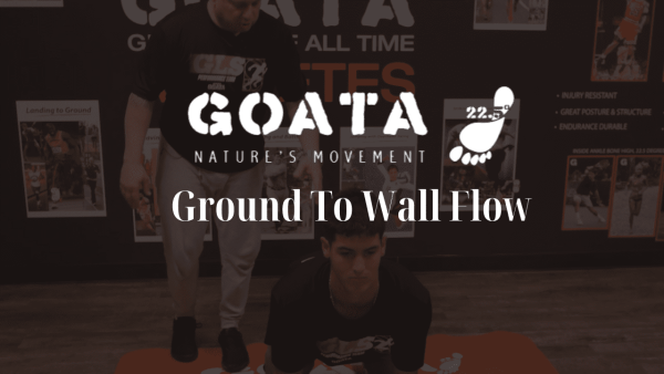 GOATA - Ground To Wall Flow