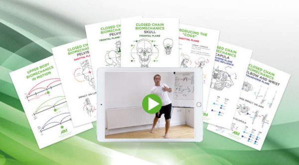 Gary Ward - Biomechanics Of The Upper Body In Motion 2023