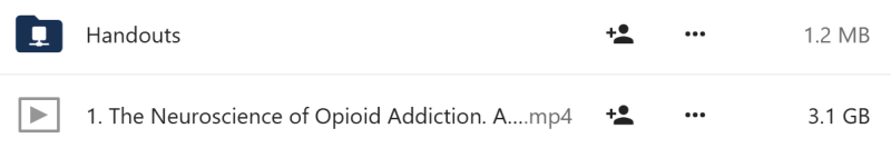 Hayden Center - The Neuroscience of Opioid Addiction