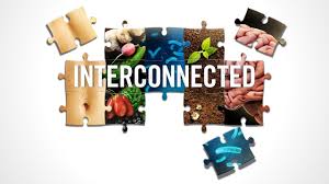 Heal From Within - Interconnected