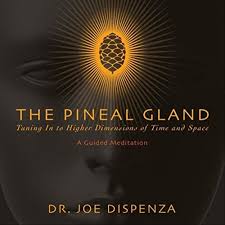 Joe Dispenza - The Pineal Gland - Tuning in to Higher Dimensions