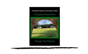 John Overdurf - Changing Perspectives Through The Rhizome