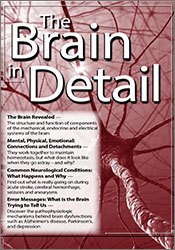Mary T. Johnson - The Brain in Detail