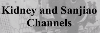 Master Jeffrey Yuen - ACCM - The Kidney & Sanjiao Channels of Classical Chinese Medicine