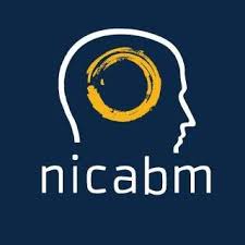 NICABM - The Treating Trauma Master Series