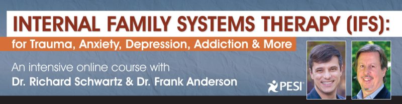 Richard Schwartz & Frank Anderson - Internal Family Systems