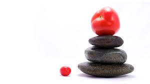 Shawn Phillips & Ken Wilber - Fuel For Life - 10 Strategies for Nutritional Freedom