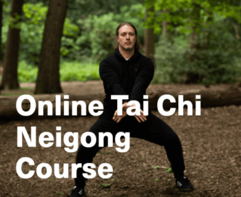 Sifu Neil Rosiak - Online Tai Chi Neigong course